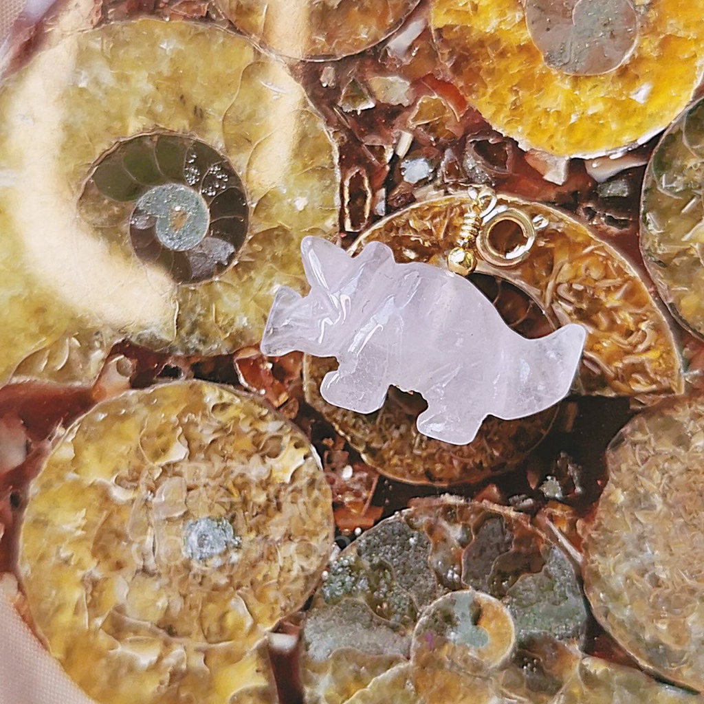 Triceratops Charmies