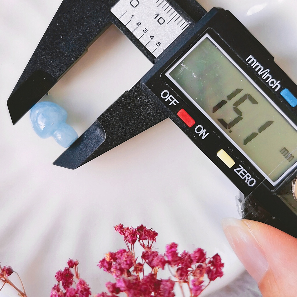 Aquamarine Mushroom Charmie