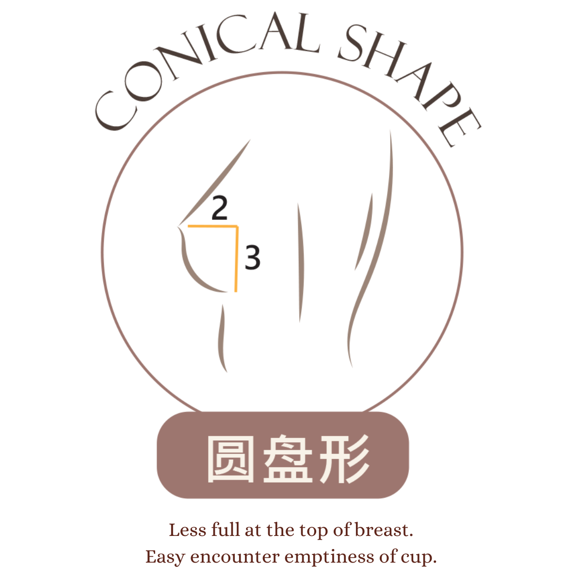 Conical Breast Shape – miloque