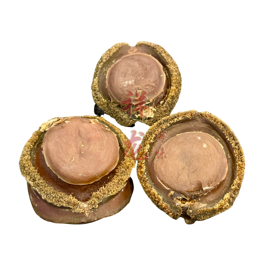 South Africa Abalone 南非大干鲍