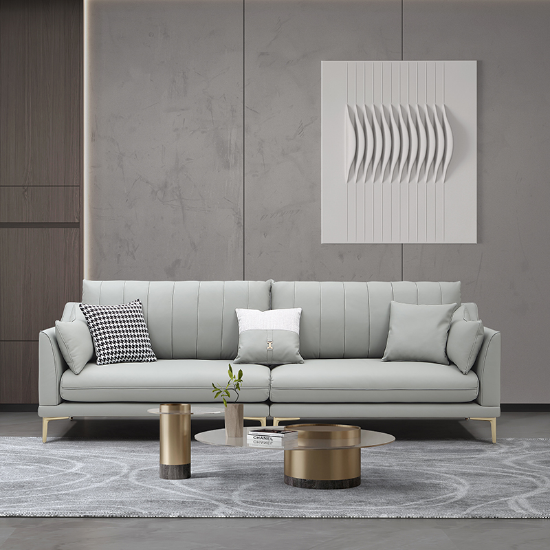 Light Luxury Leather Sofa ILS-043