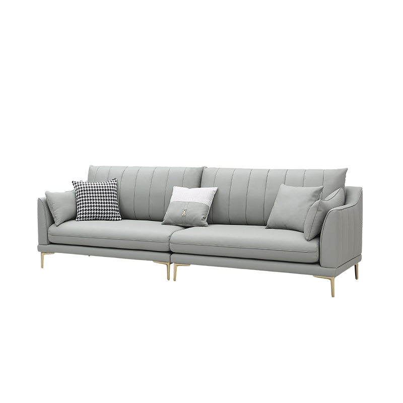 Light Luxury Leather Sofa ILS-043