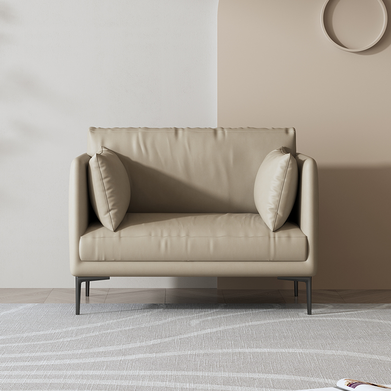 Simple Modern Leathaire Sofa IMLS-046