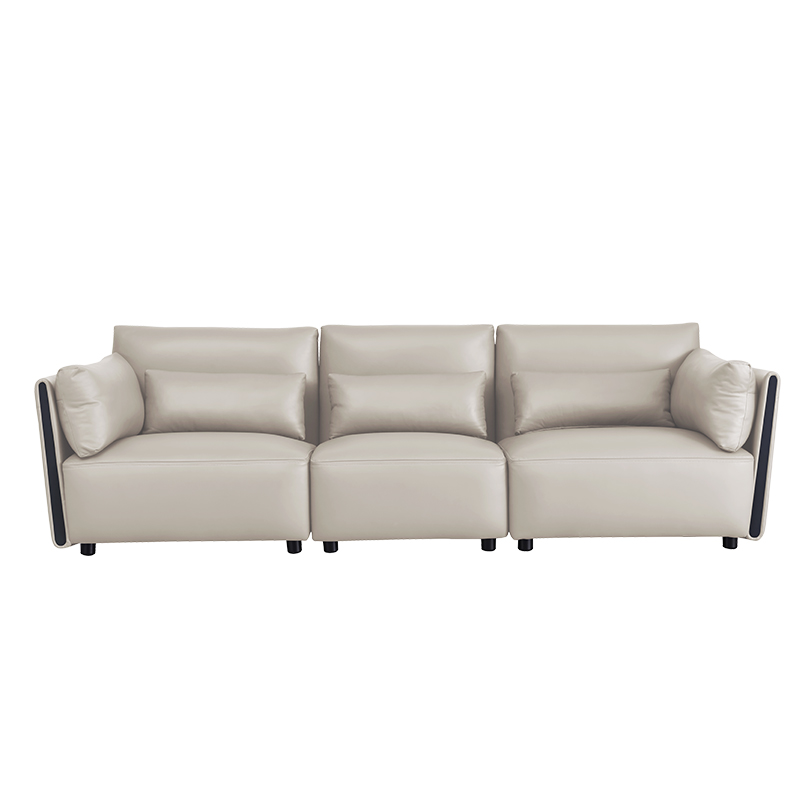 Modern Sedate Leather Sofa ZASFA