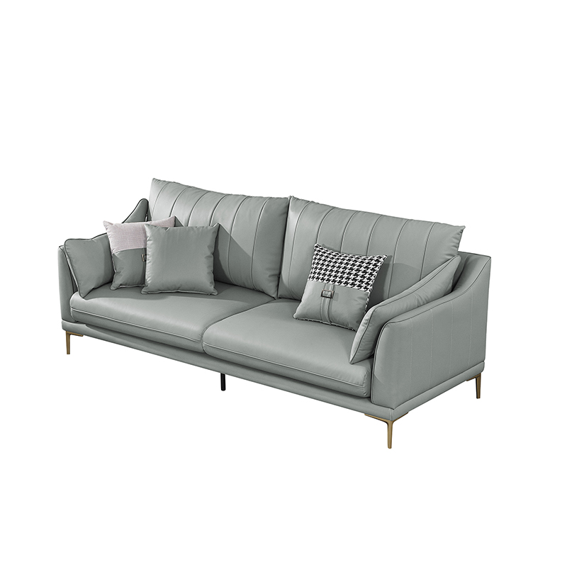 Light Luxury Leather Sofa ILS-043
