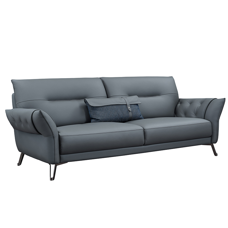 Modern Leather Sofa
