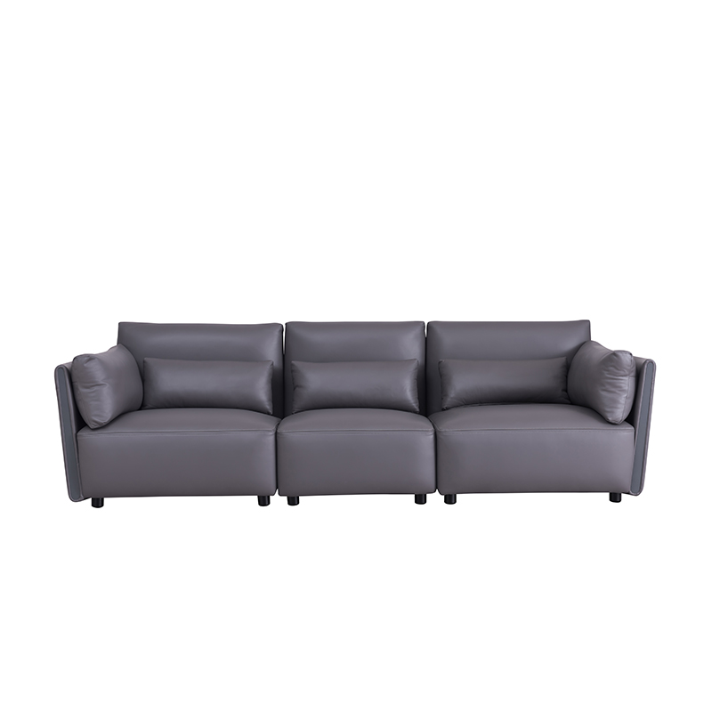 Modern Sedate Leather Sofa ZASFA
