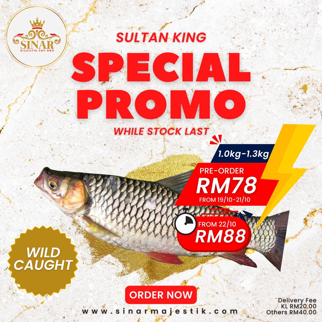 Sultan King Fish Promotion