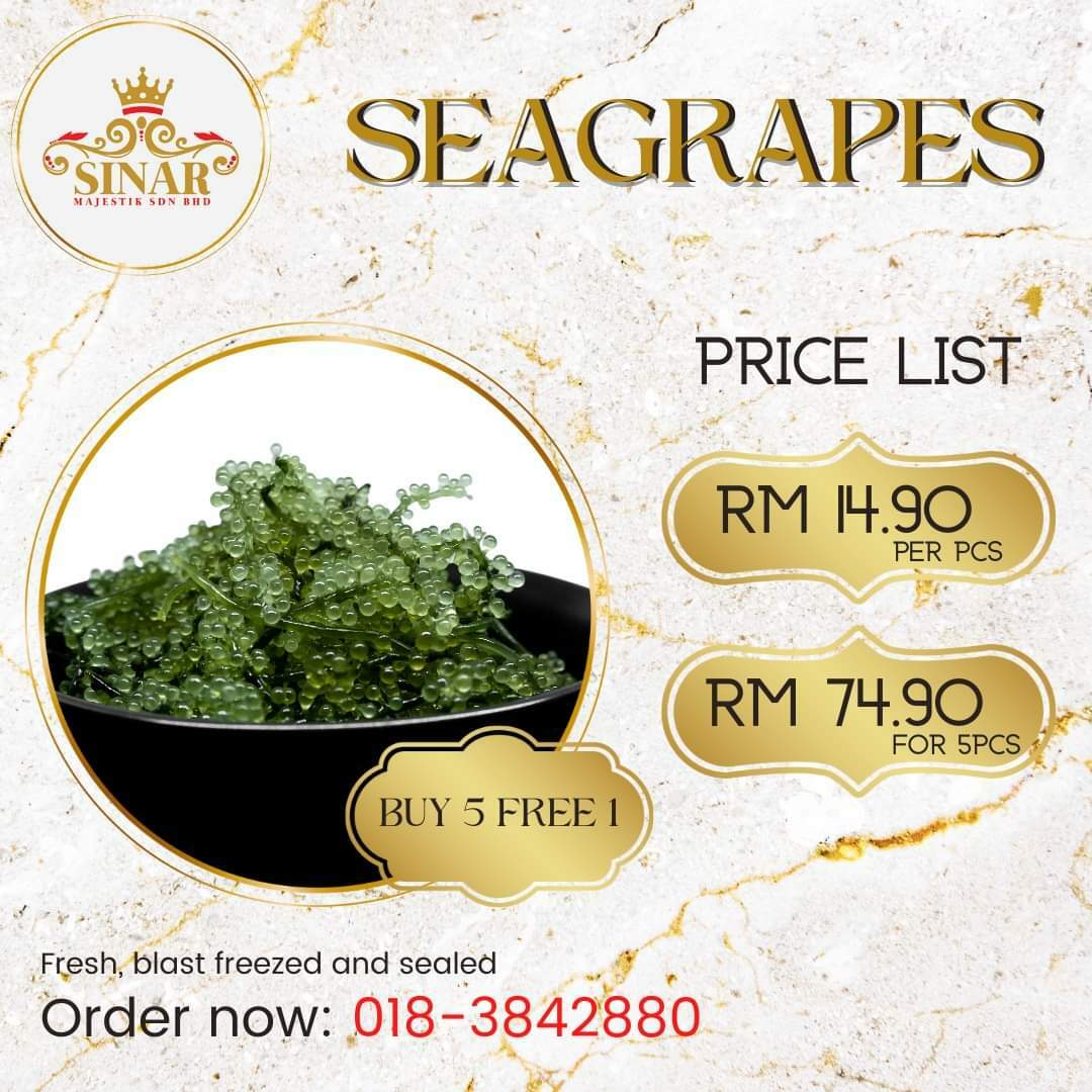 Seagrapes