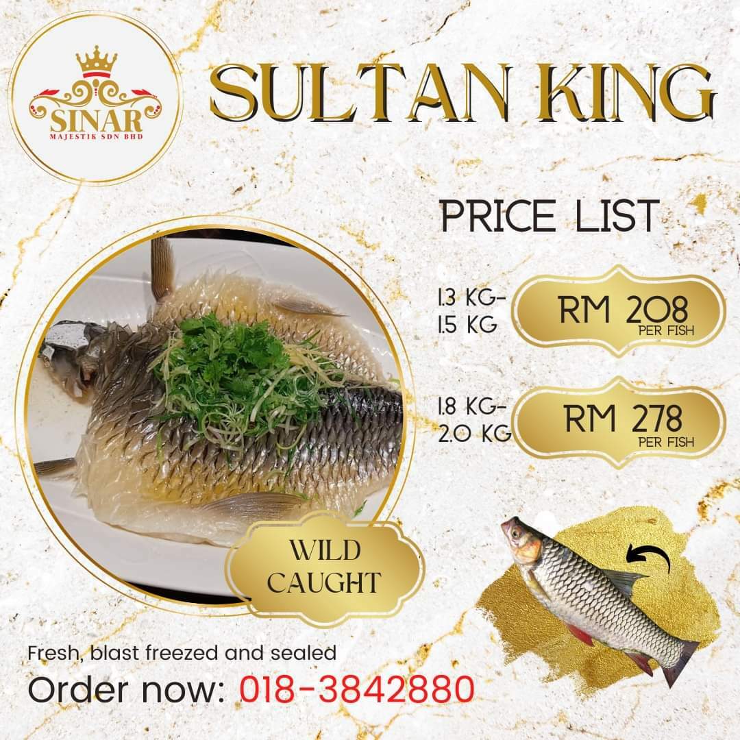 Sultan King Fish