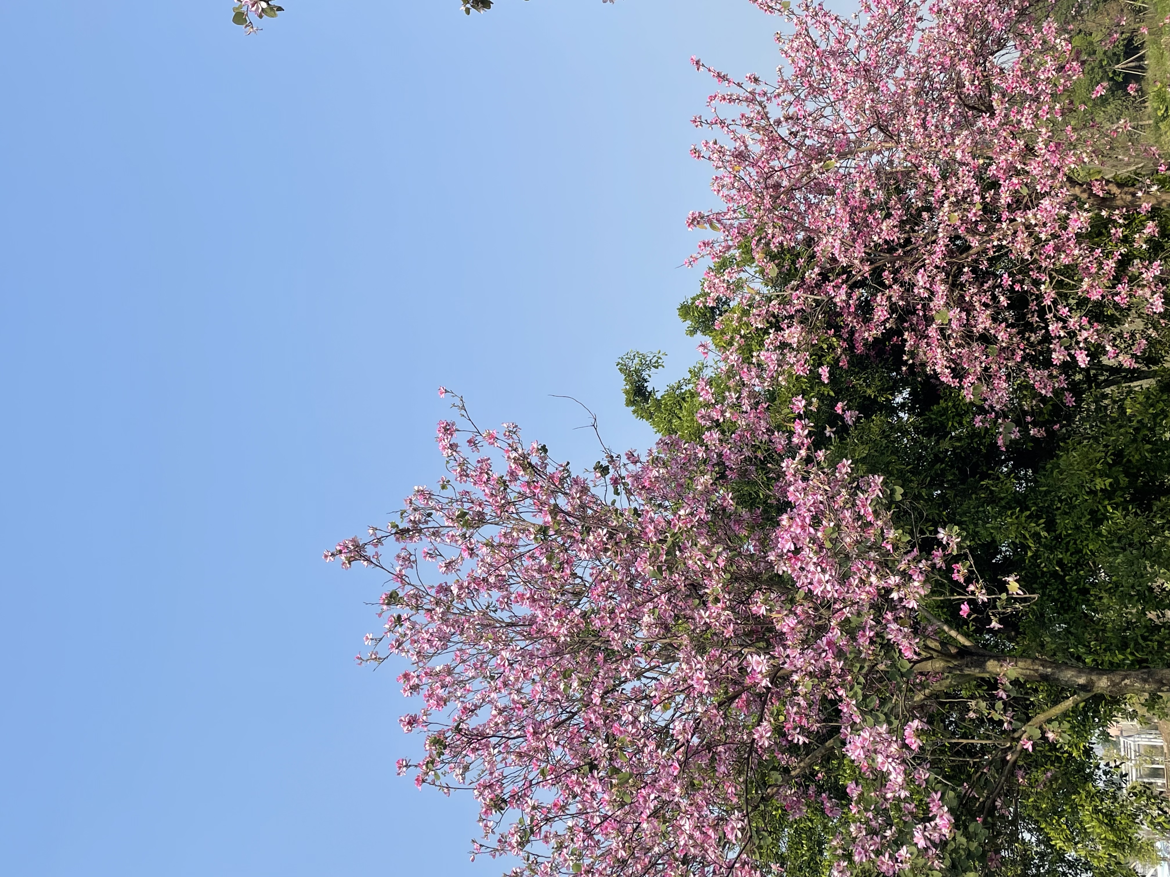 111801新建商品-多个属性值-带有各种特殊字符的&*（）——+¥%……&@#¥%！@#¥%…………&**😊🏷️