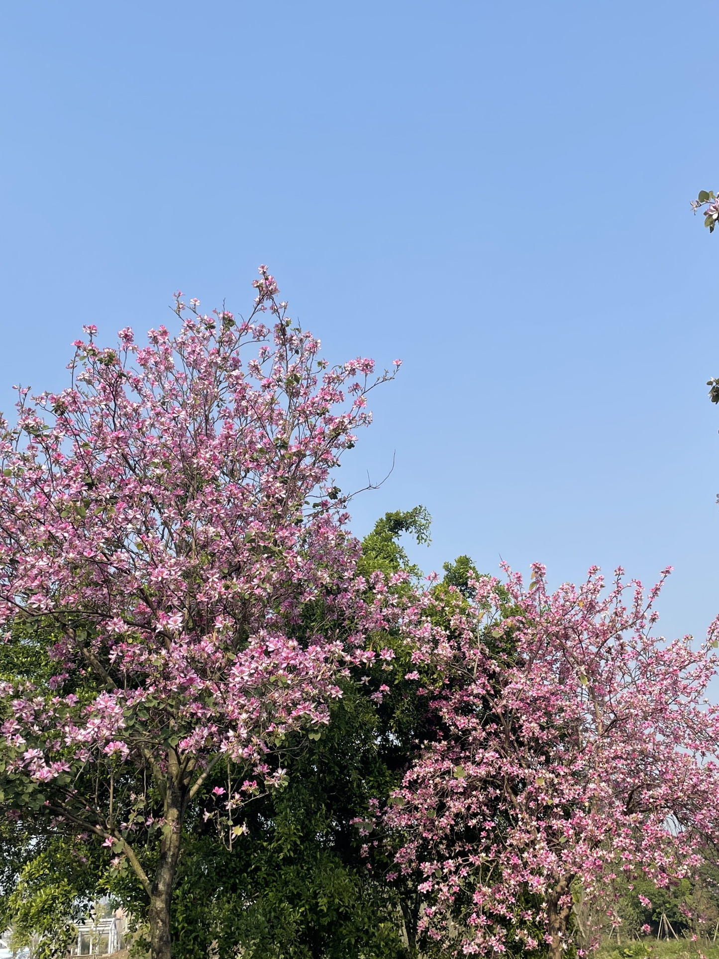 111801新建商品-多个属性值-带有各种特殊字符的&*（）——+¥%……&@#¥%！@#¥%…………&**😊🏷️