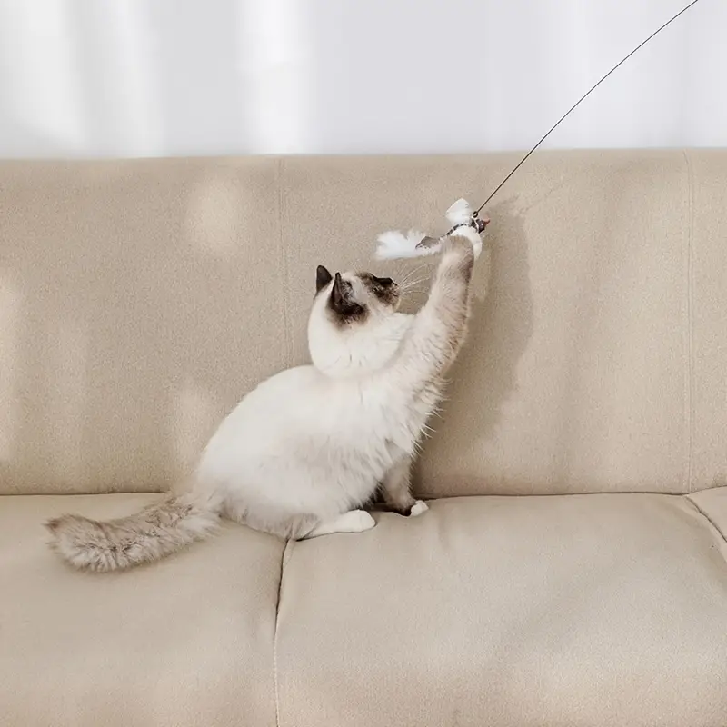 Interactive Cat Feather Toys, Cat Wand Toy And Natural Feather Teaser 