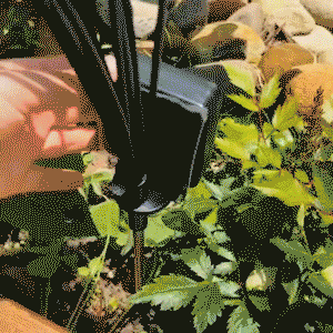 Last Day 70% OFF 🔥 IP65 Waterproof Solar Powered Firefly Light