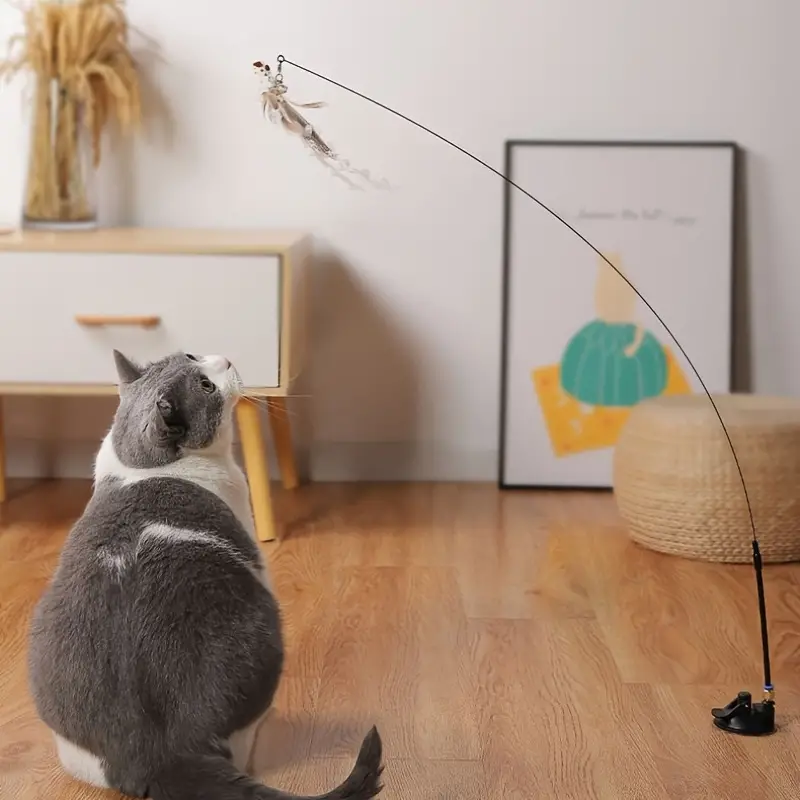 Interactive Cat Feather Toys, Cat Wand Toy And Natural Feather Teaser 