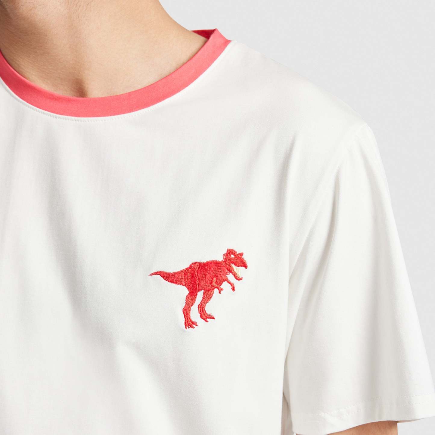 Dinosaur PJ Set