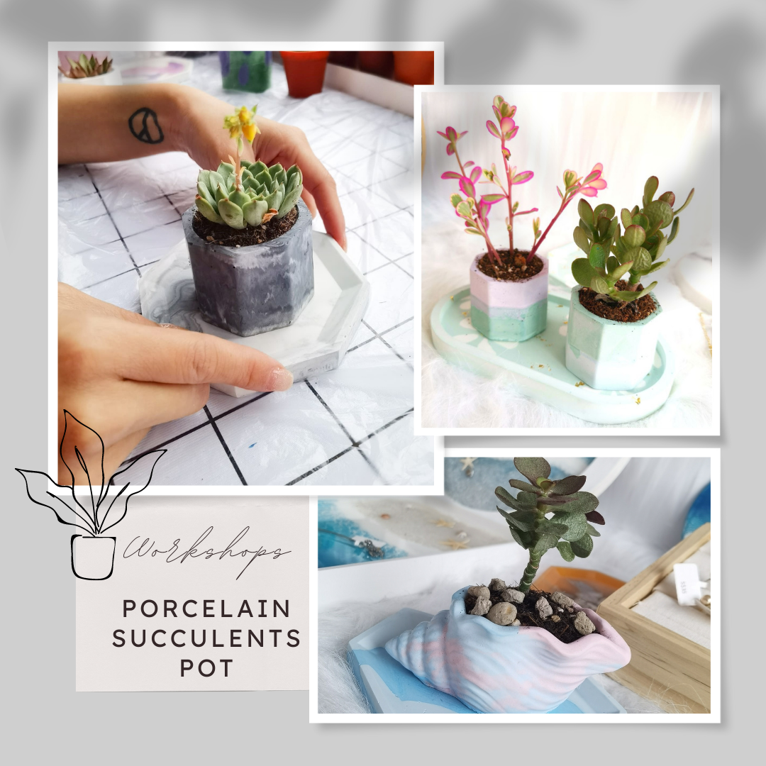 Porcelain Succulents Pot