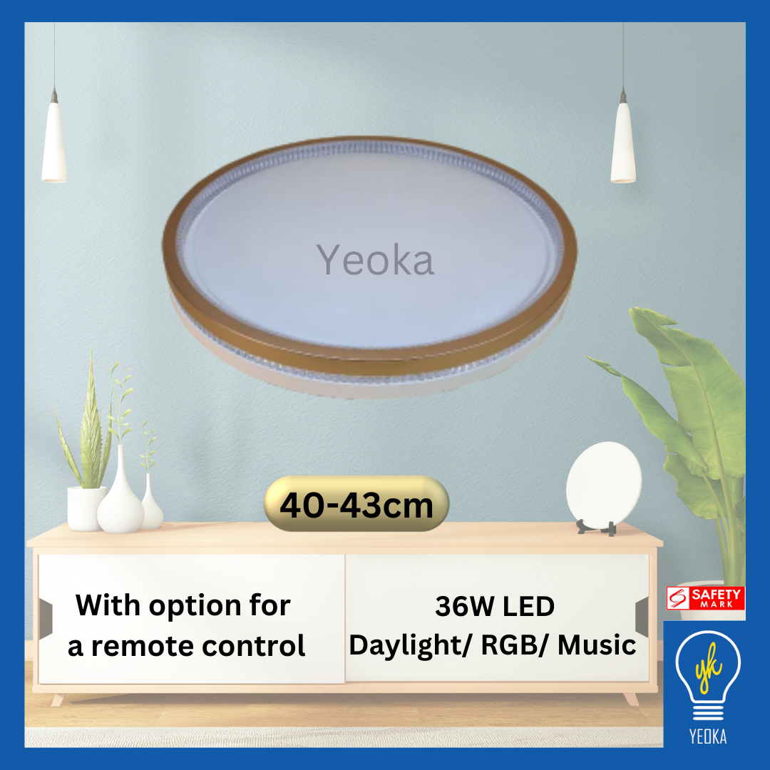 Ceiling Light CL-9938