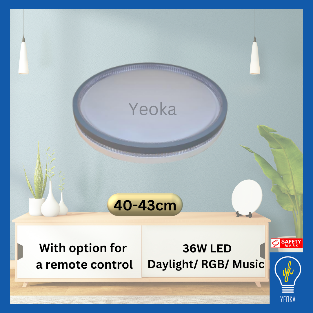 Ceiling Light CL-9938