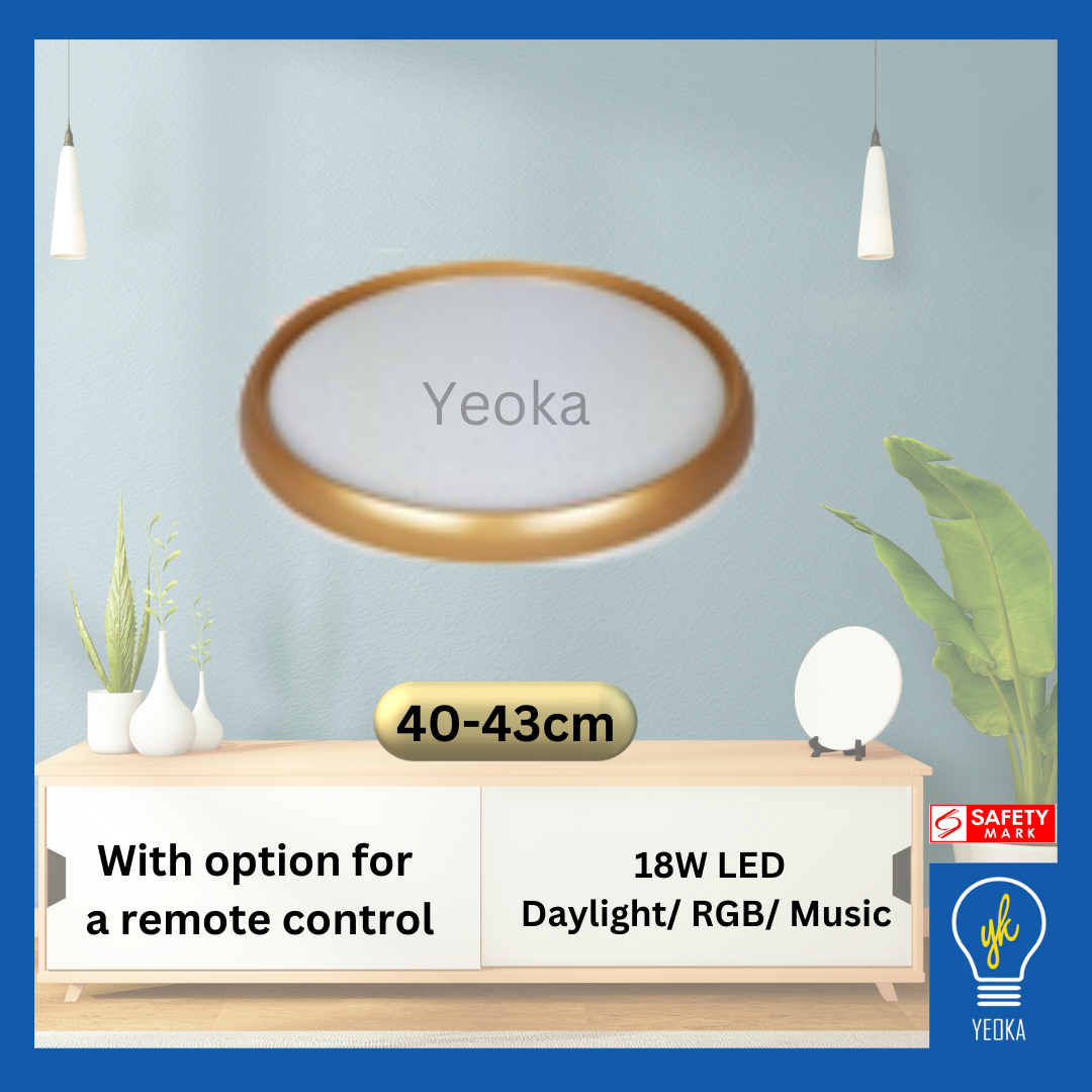 Ceiling Light CL-D662-SV