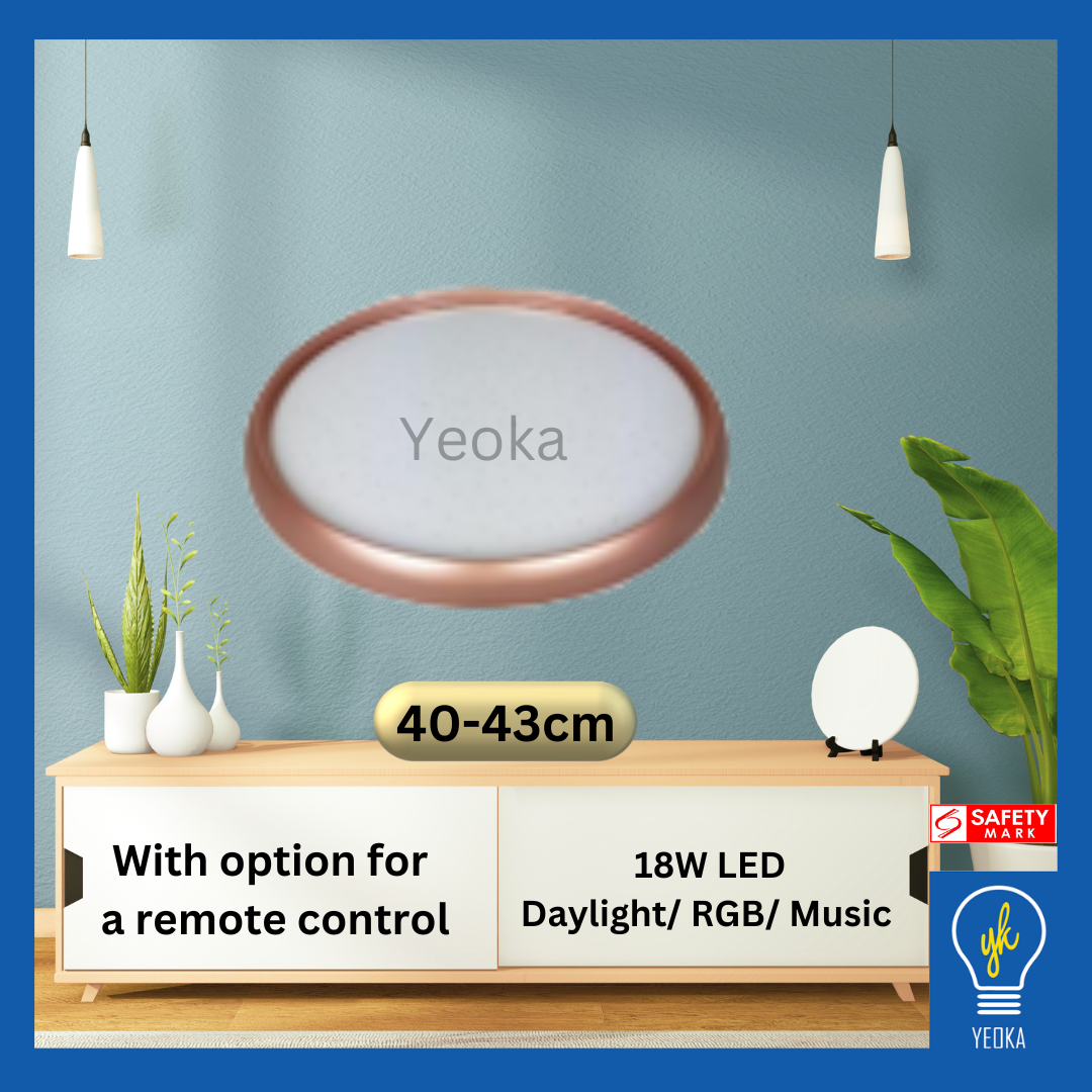 Ceiling Light CL-D662-SV