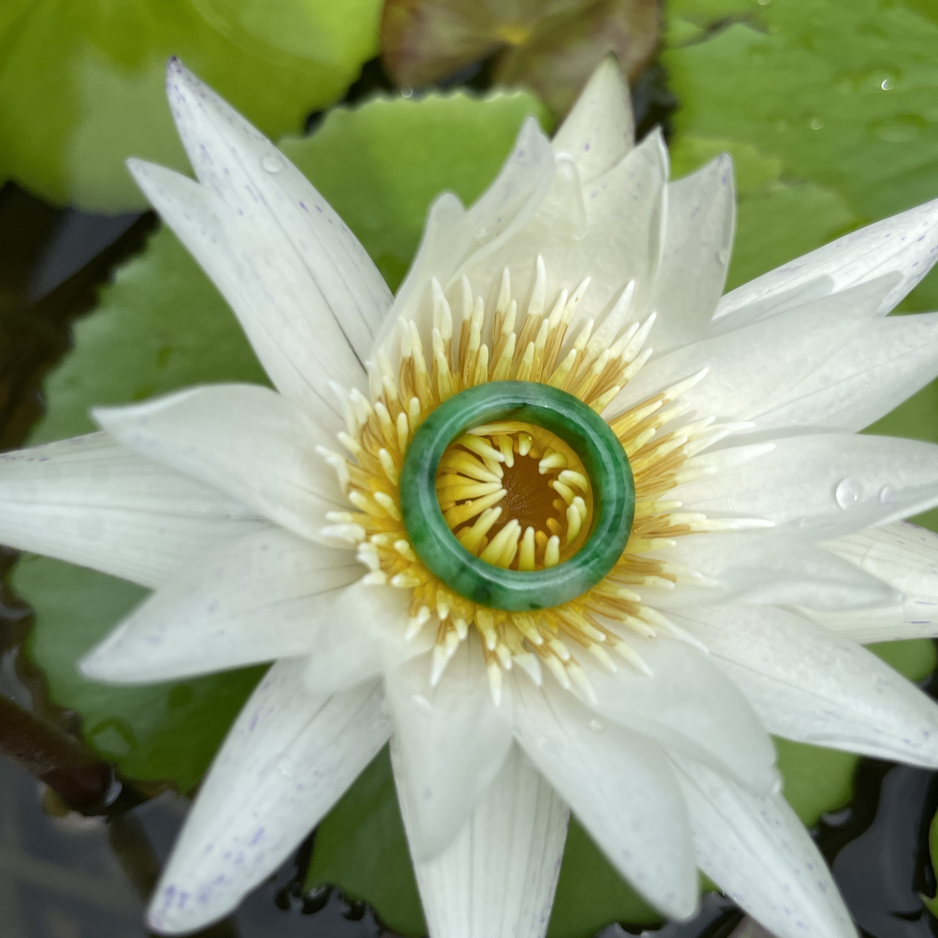 Green Hololith Ring (PJA00290)