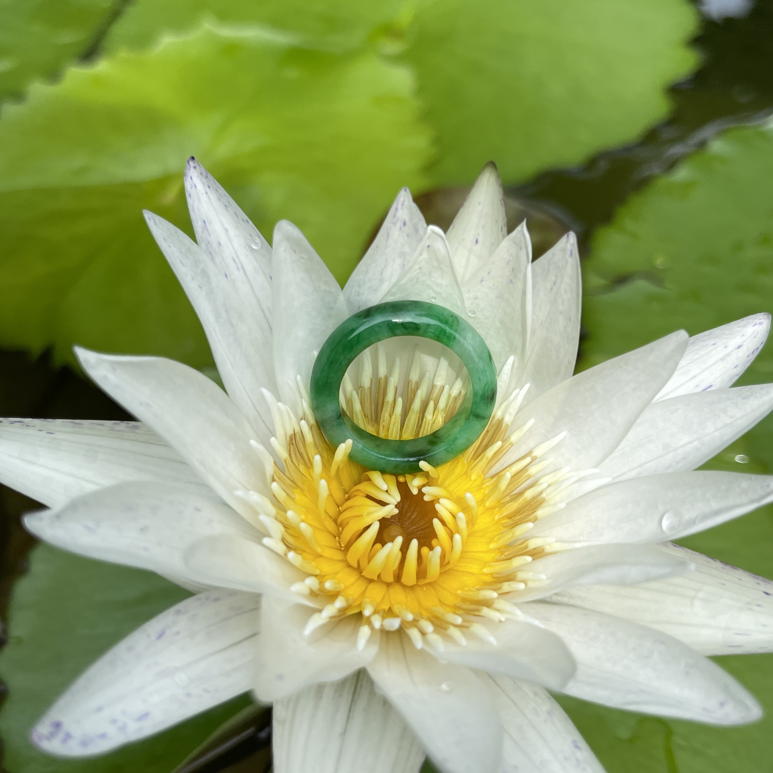 Green Hololith Ring (PJA00290)