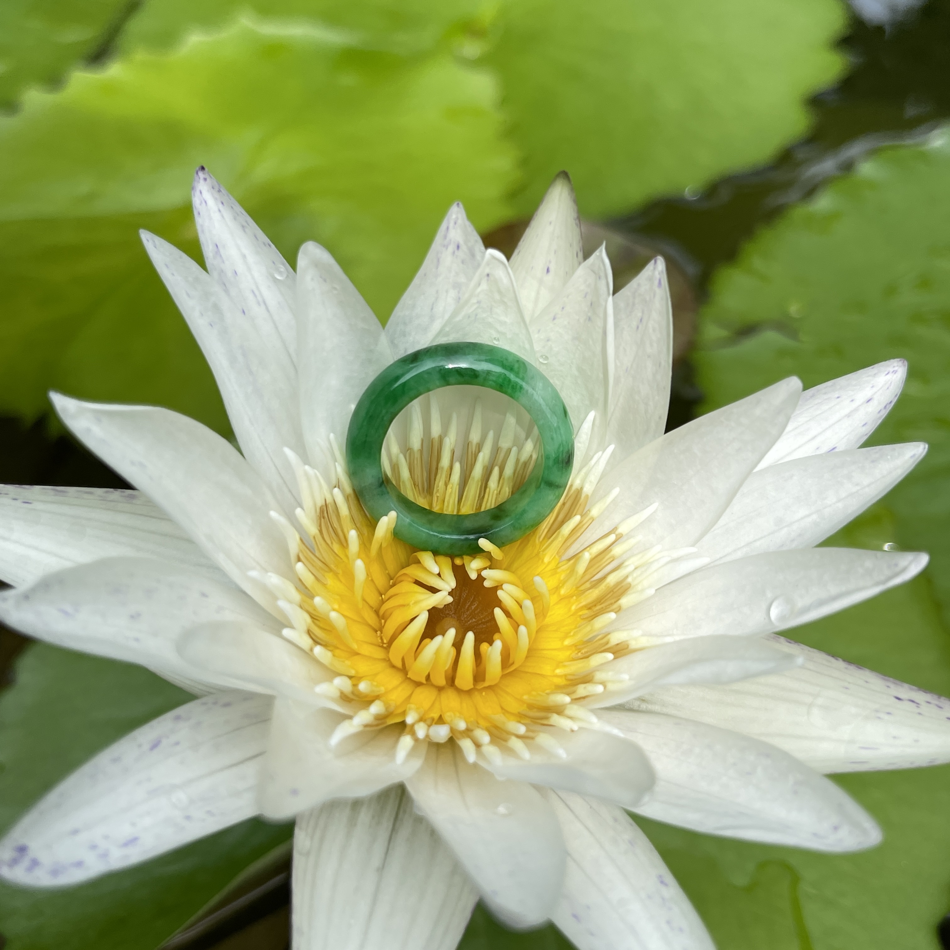 Green Hololith Ring (PJA00290)