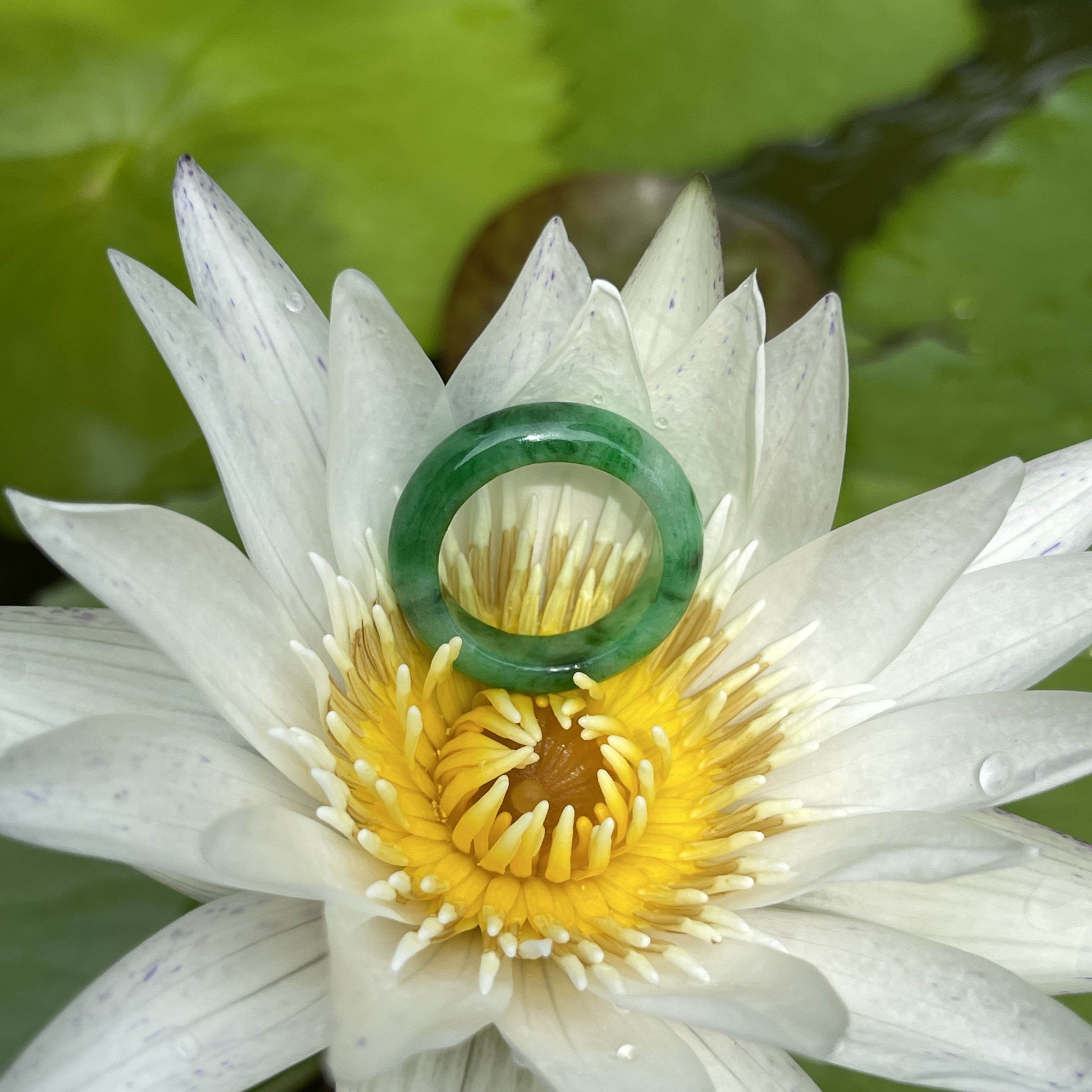 Green Hololith Ring (PJA00290)
