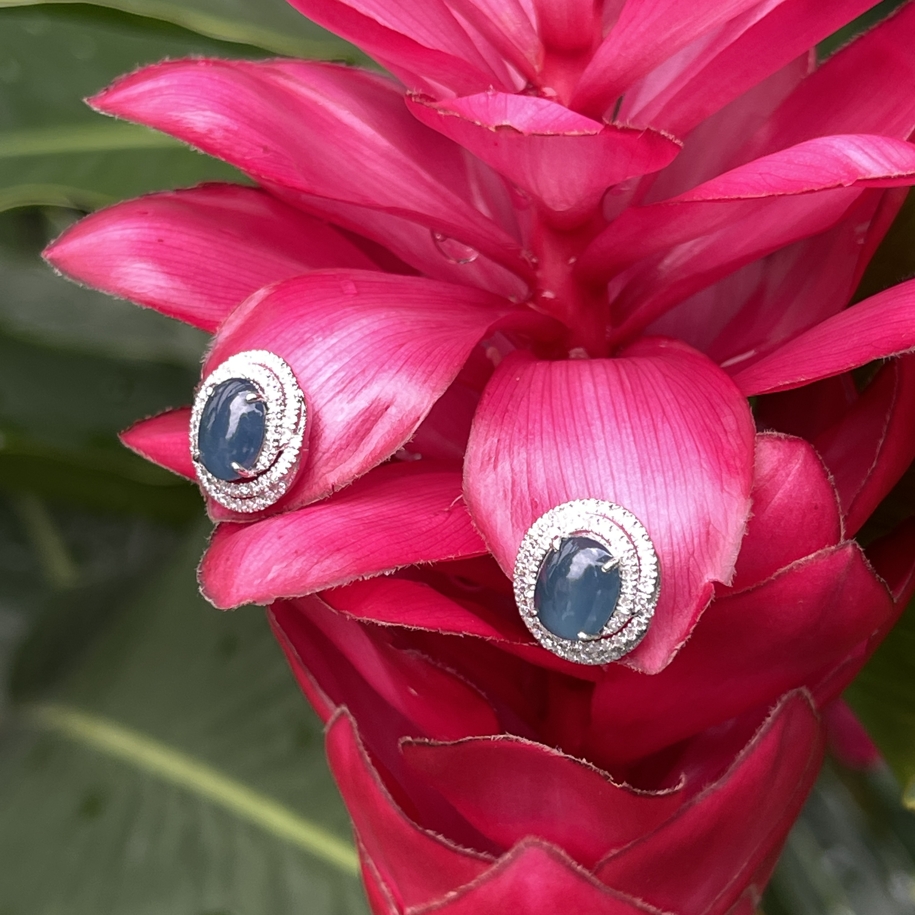 Vivid Blue Jade Cabochon Swirl Earrings (PJA00267) 