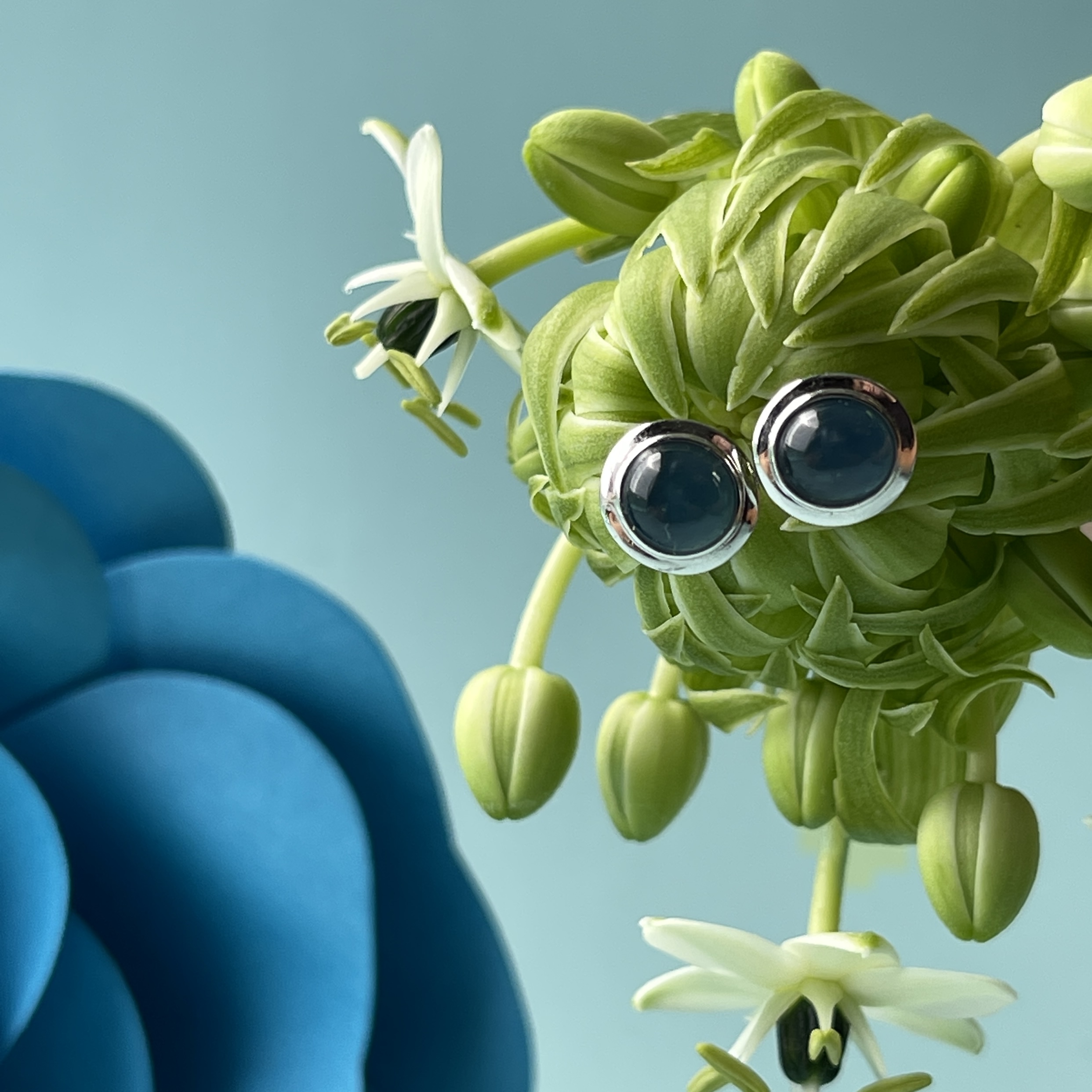 Vivid Blue Jade Cabochon Studs (PJA00265) 