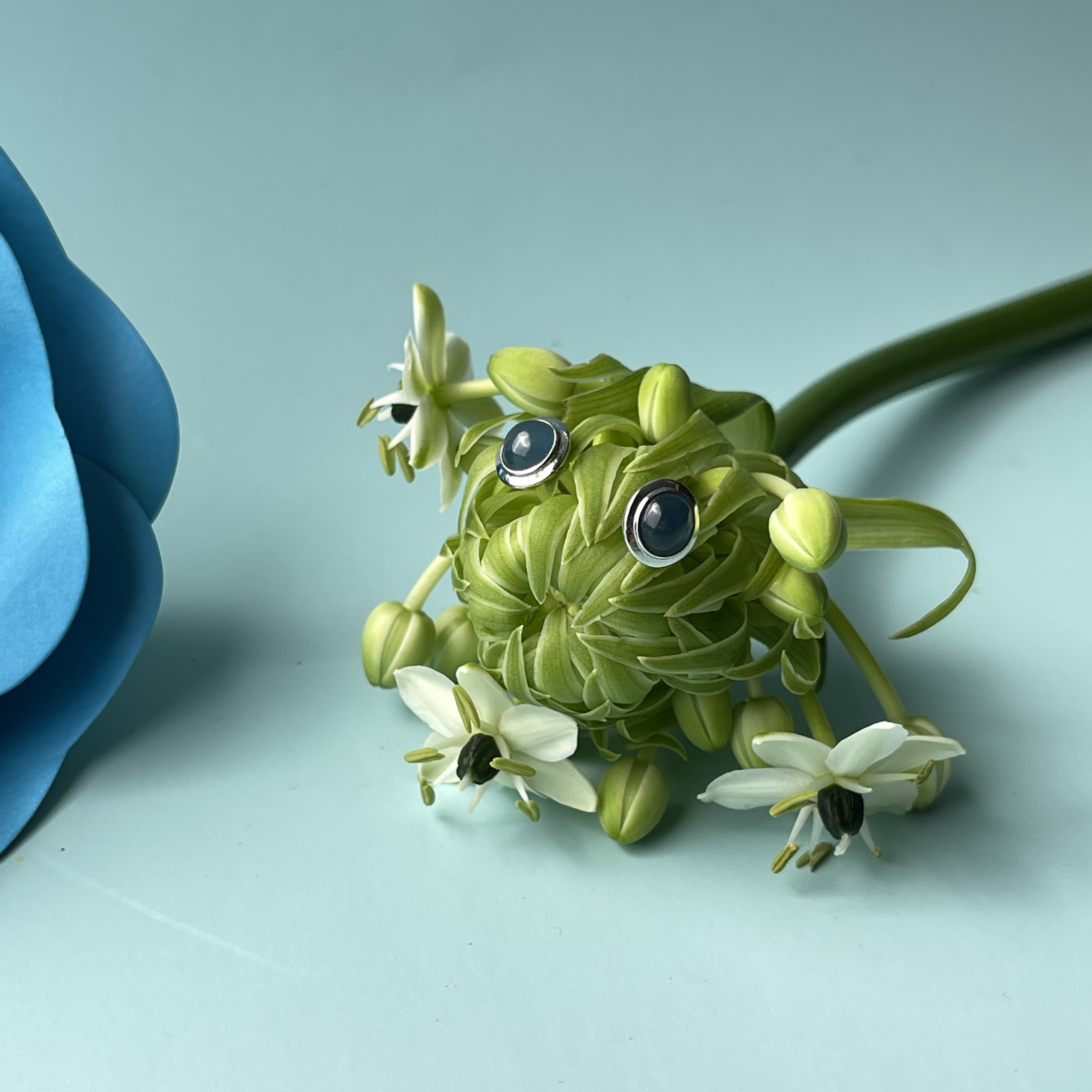 Vivid Blue Jade Cabochon Studs (PJA00265) 