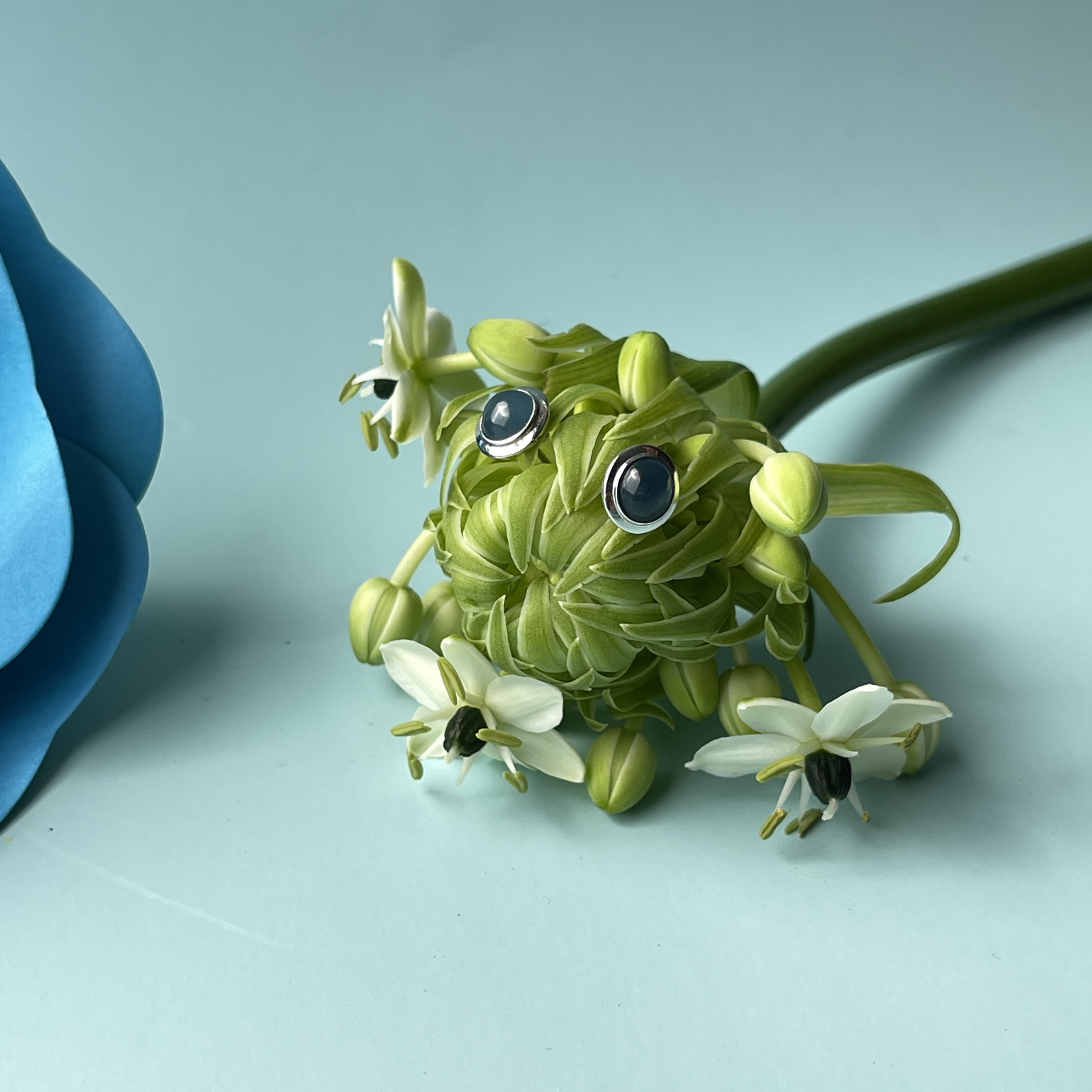 Vivid Blue Jade Cabochon Studs (PJA00265) 