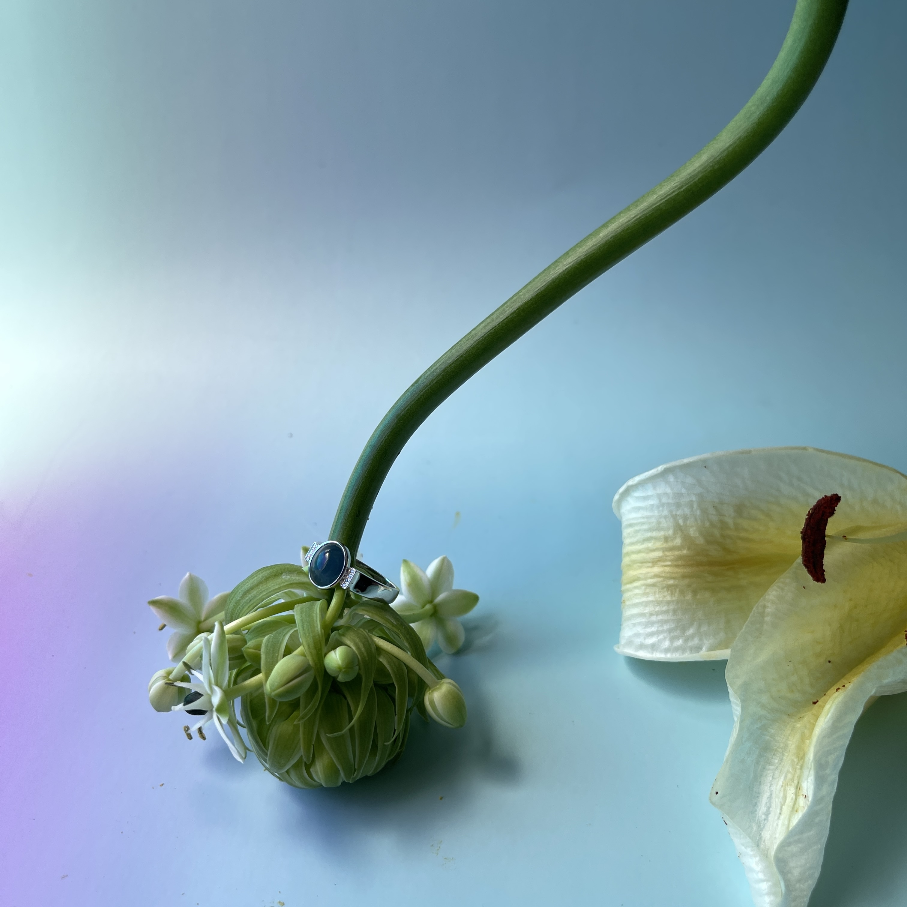 Vivid Blue Jade Cabochon Ring (PJA00269) 