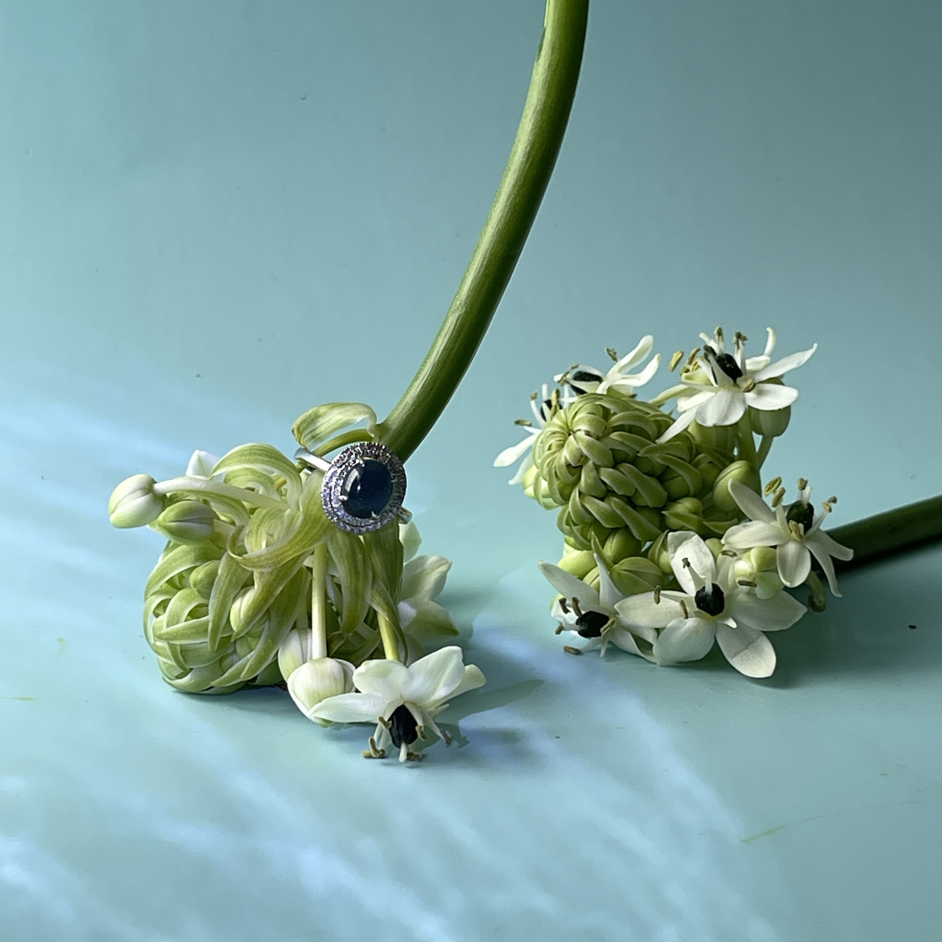 Vivid Blue Jade Cabochon Swirl Ring (PJA00270) 