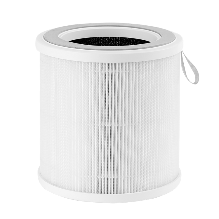 Pure Air H13 HEPA Filter (For AP10)