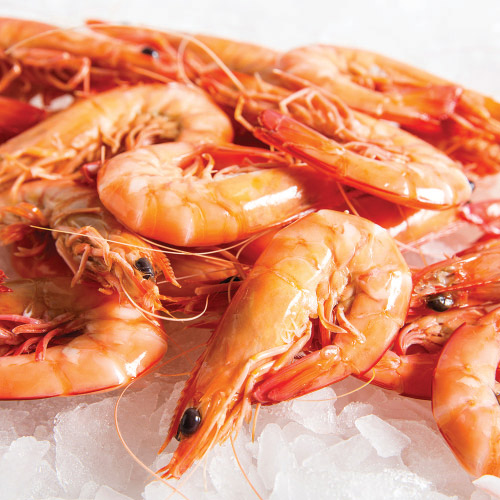 B/TIGER PRAWN COOKED HOSO IQF 21/25 1KG