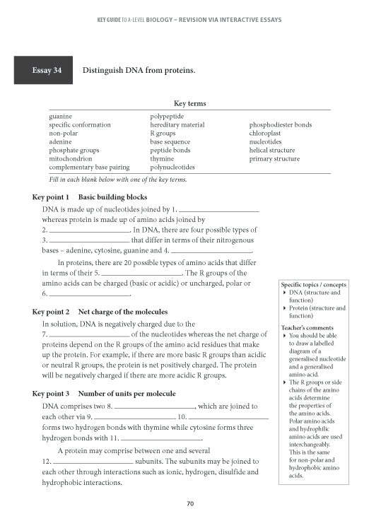 Key Guide A-Level H2 Biology Revision Via Essays