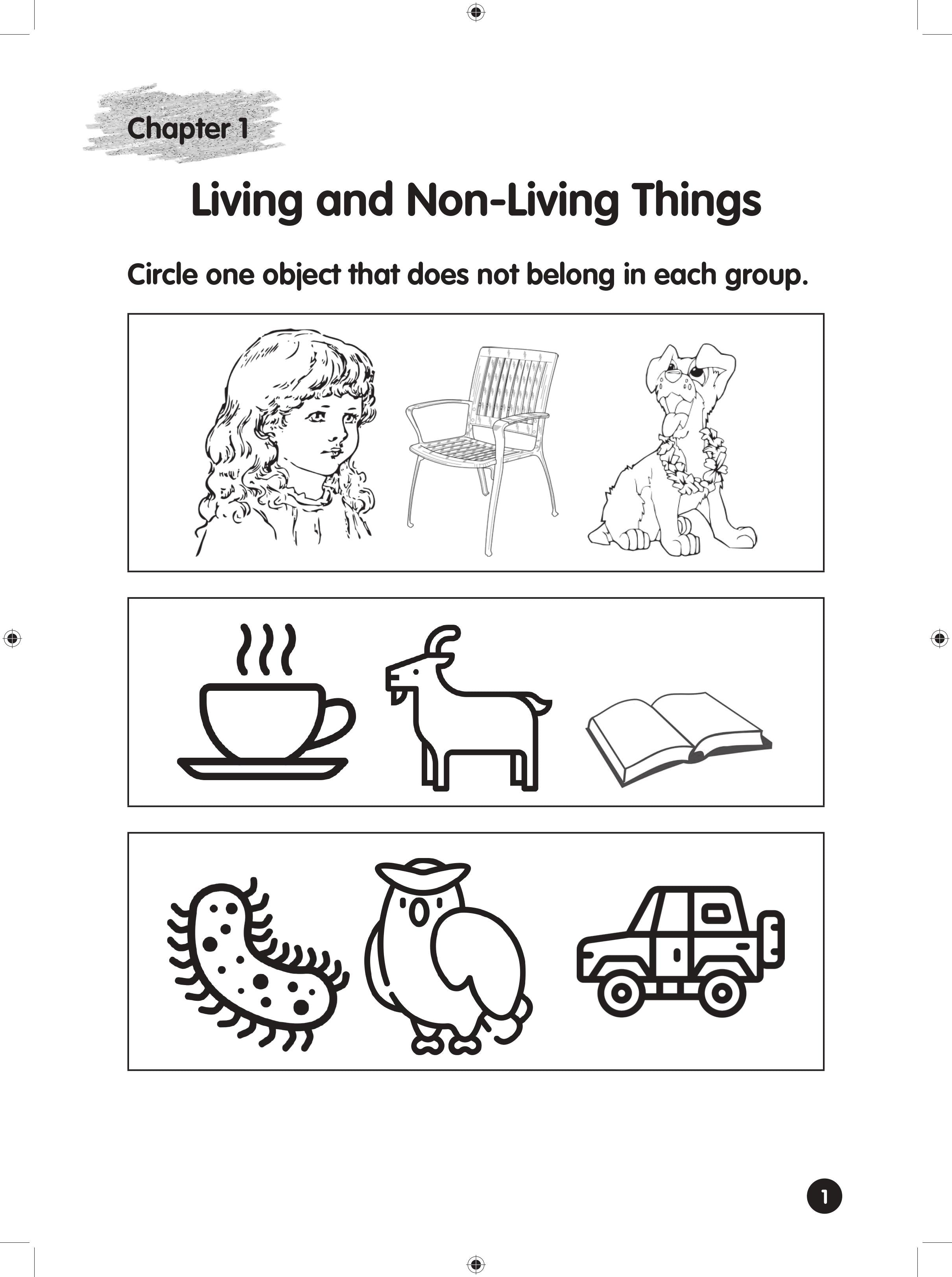 Headstart Science Kindergarten 2