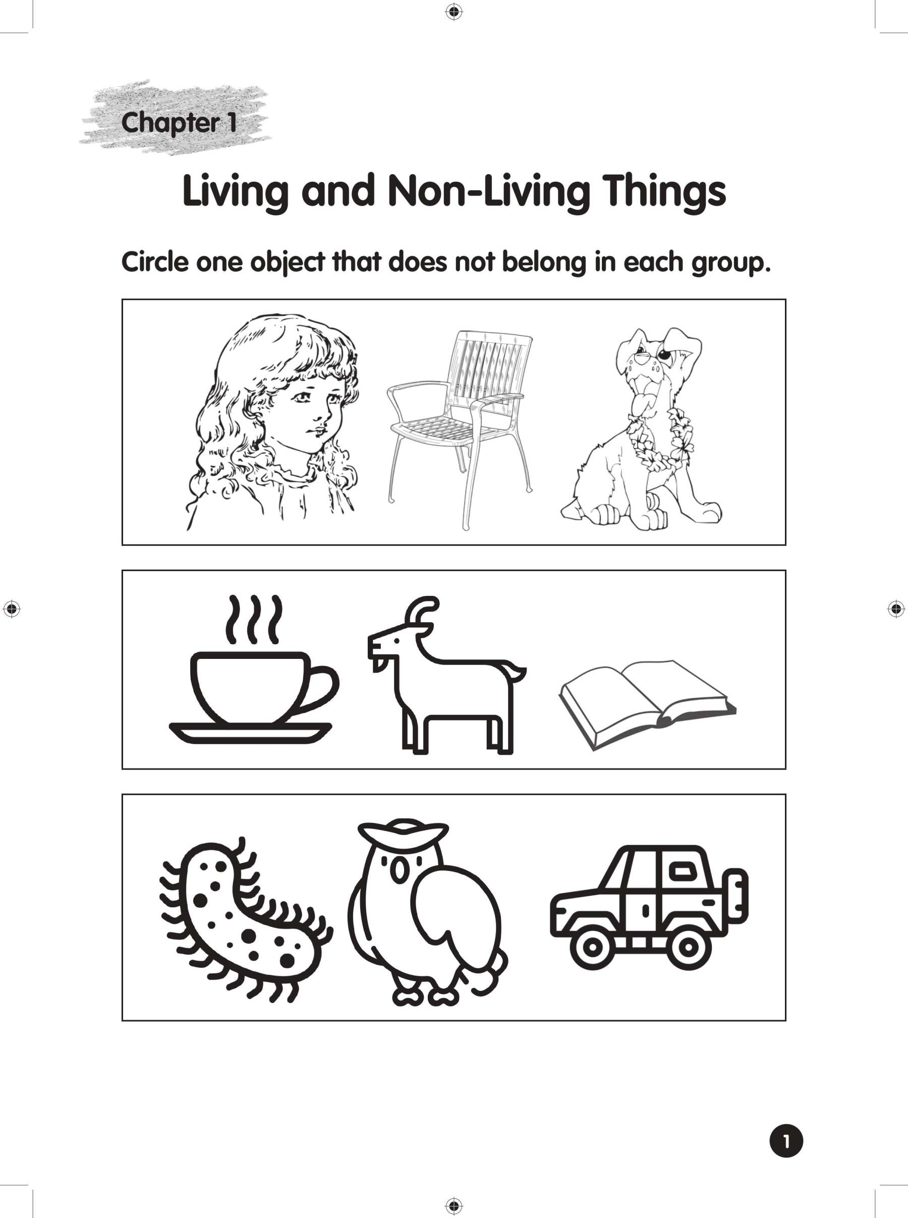 Headstart Science Kindergarten 2