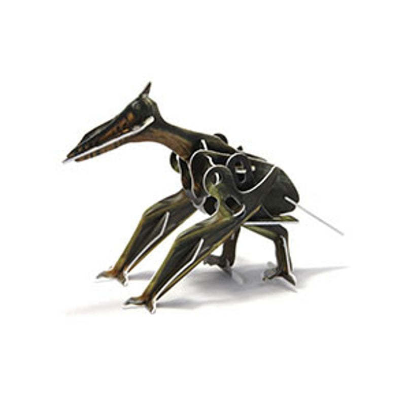 DIY Wind Up Jigsaw Puzzles - Pterosaur