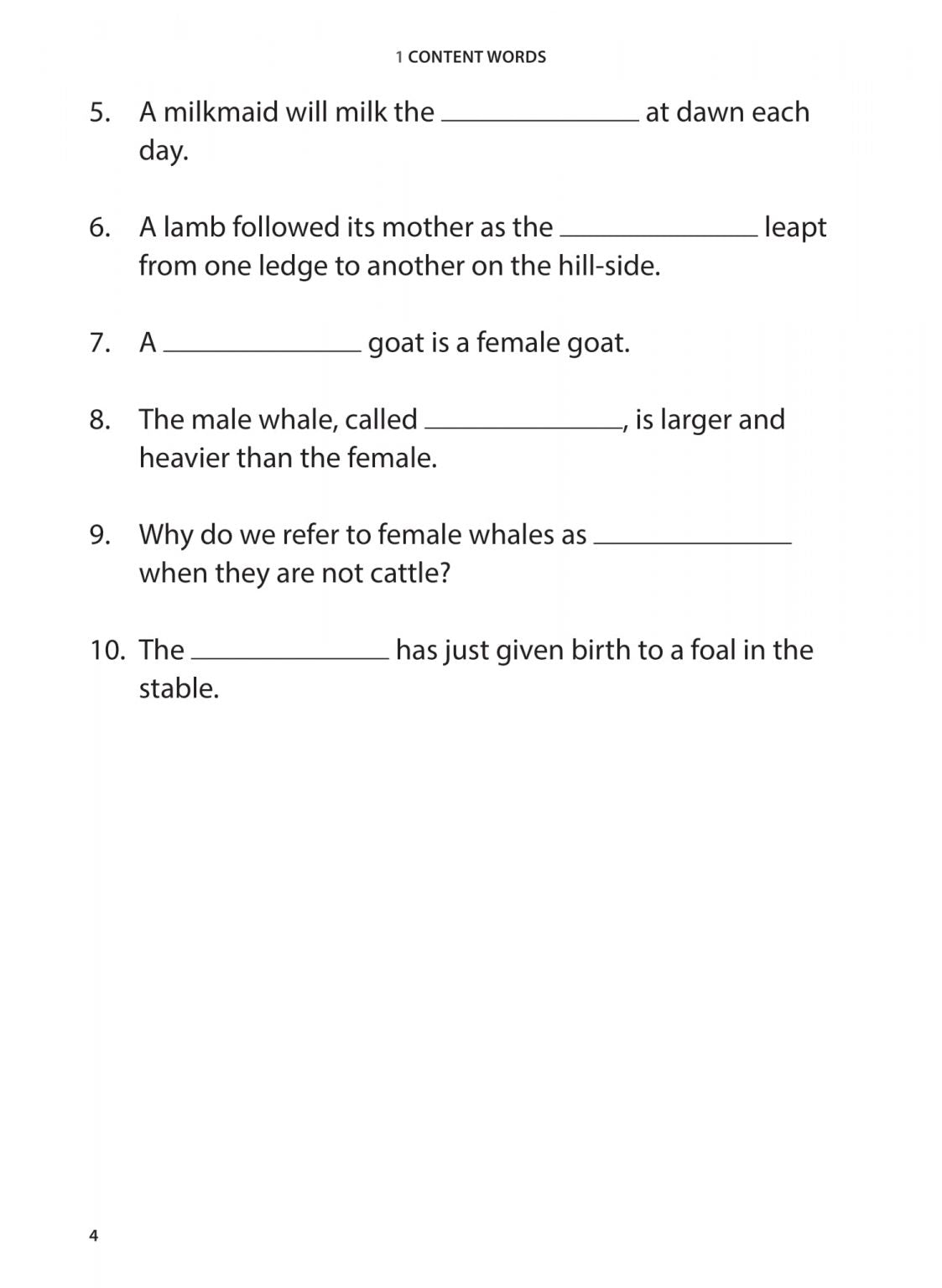 Primary 1 English Vocabulary Practice