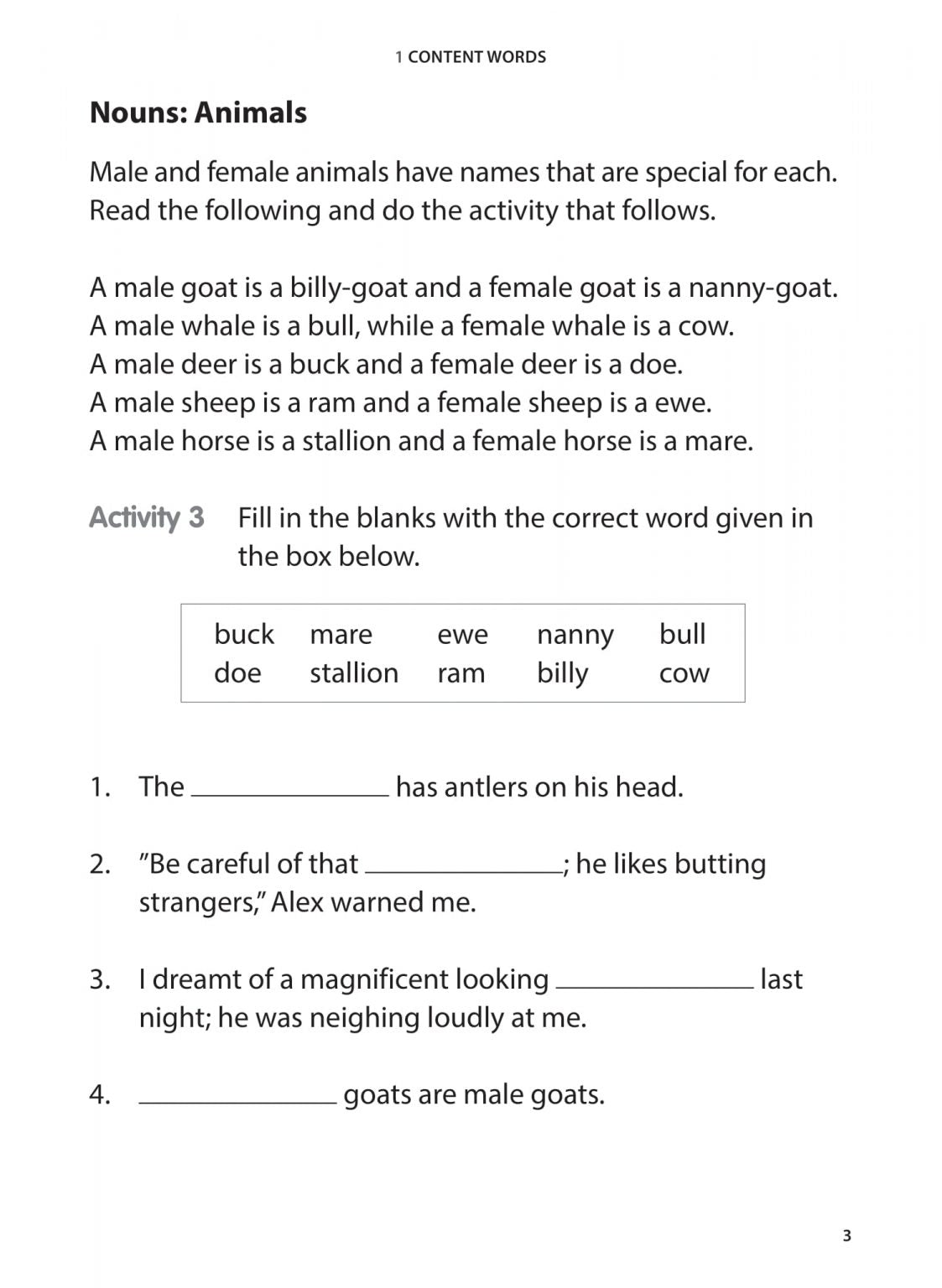 Primary 1 English Vocabulary Practice