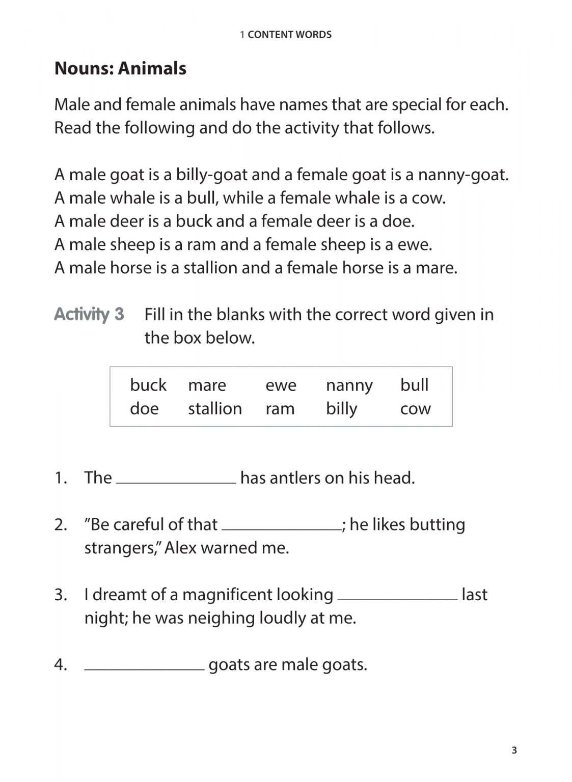 Primary 1 English Vocabulary Practice