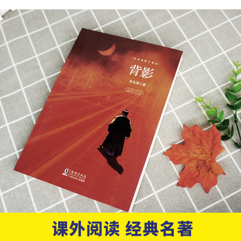 背影