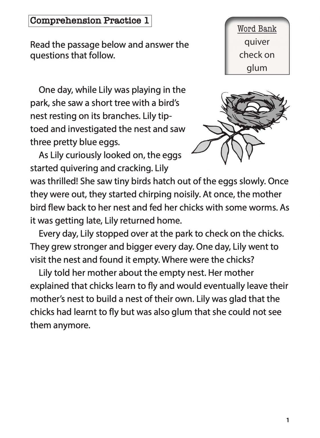 Primary 2 English Comprehension Practice