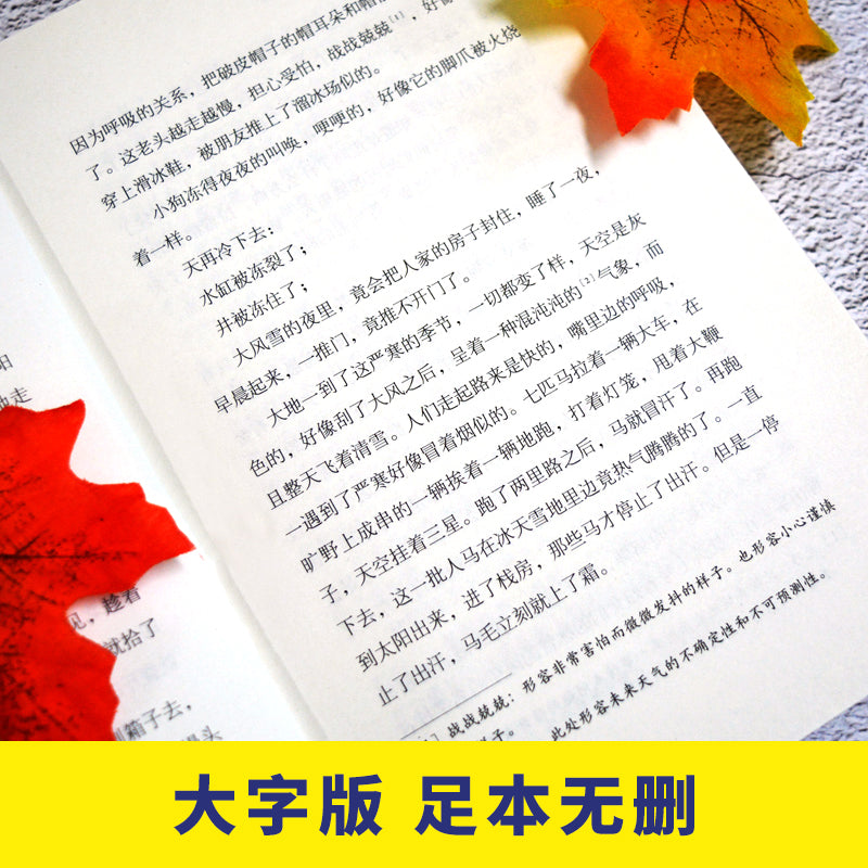 呼兰河传