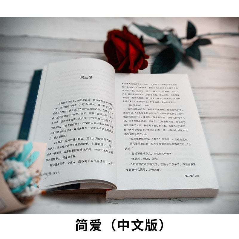 Jane Eyre (English and Chinese)