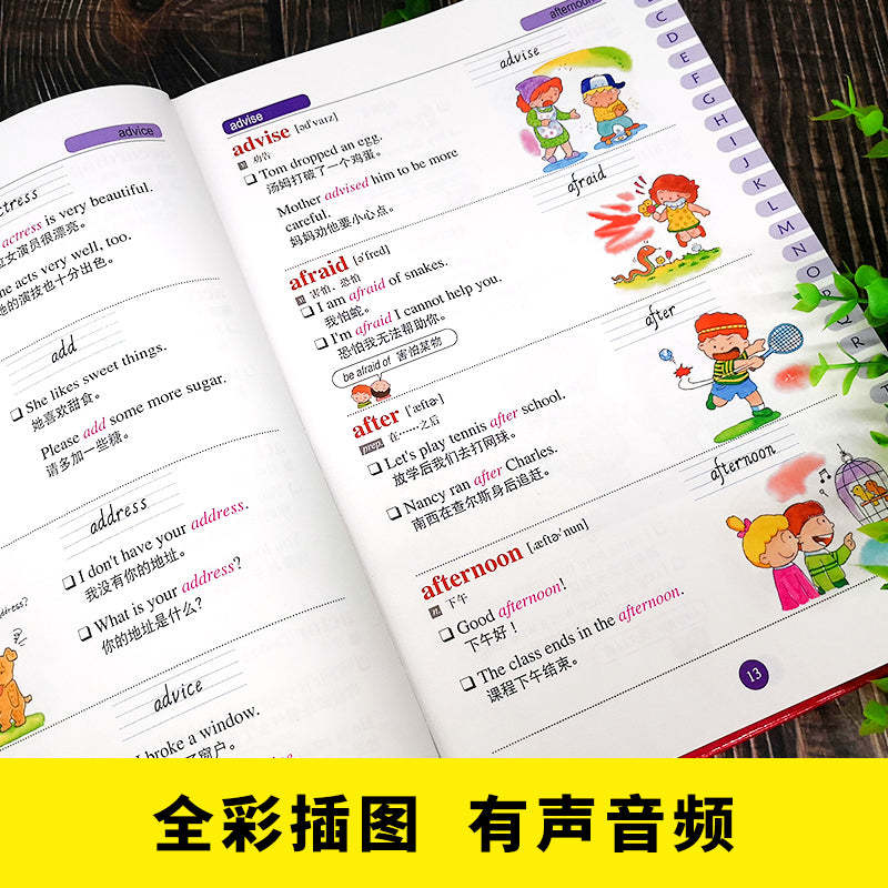 Picture Dictionary for Children