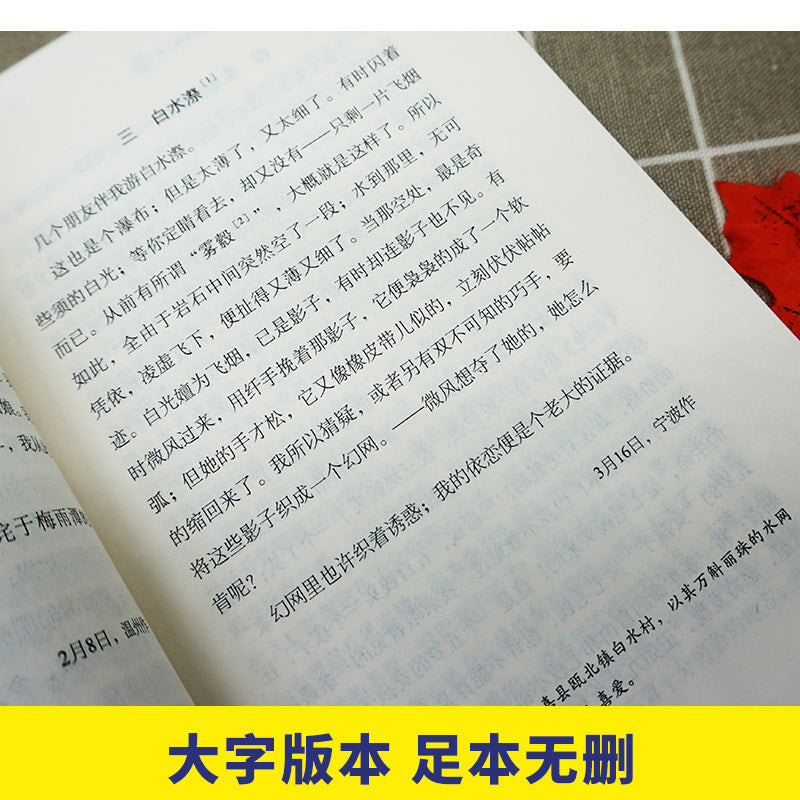 背影